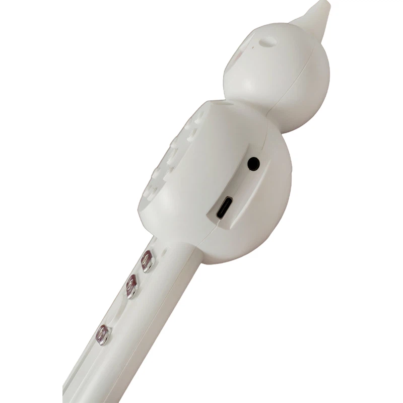 Флейта калебас